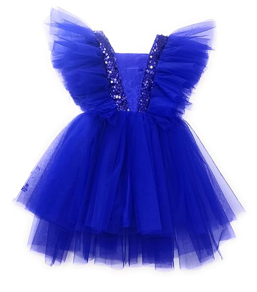 TILISM Girls Tulle Wings Blue Dress