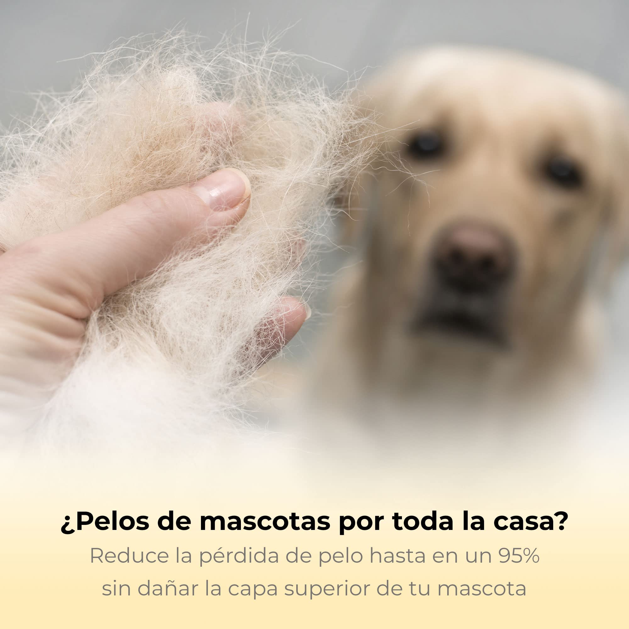Peine Profesional para Mascotas, Herramienta de Cuidado para Perros, D-Shedz para Razas de Perros, Gatos con Pelo Corto o Largo, Pequeño, Mediano y Grande (Amarillo)