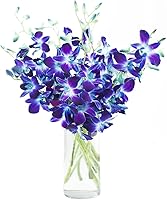 Vista 1 de eflowerwholesale - Orquídeas Moradas de Corte Premium (Apoya Pequeños Negocios) (Azul, 10 Tallos con Florero)