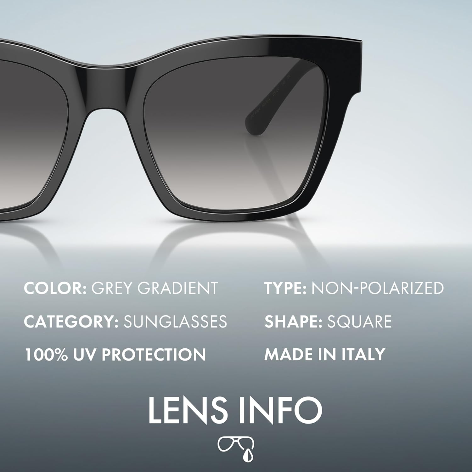 DOLCE & GABBANA DG4384 Square DG Logo Acetate Sunglasses with Luxury Eyewear Kit - Image 4