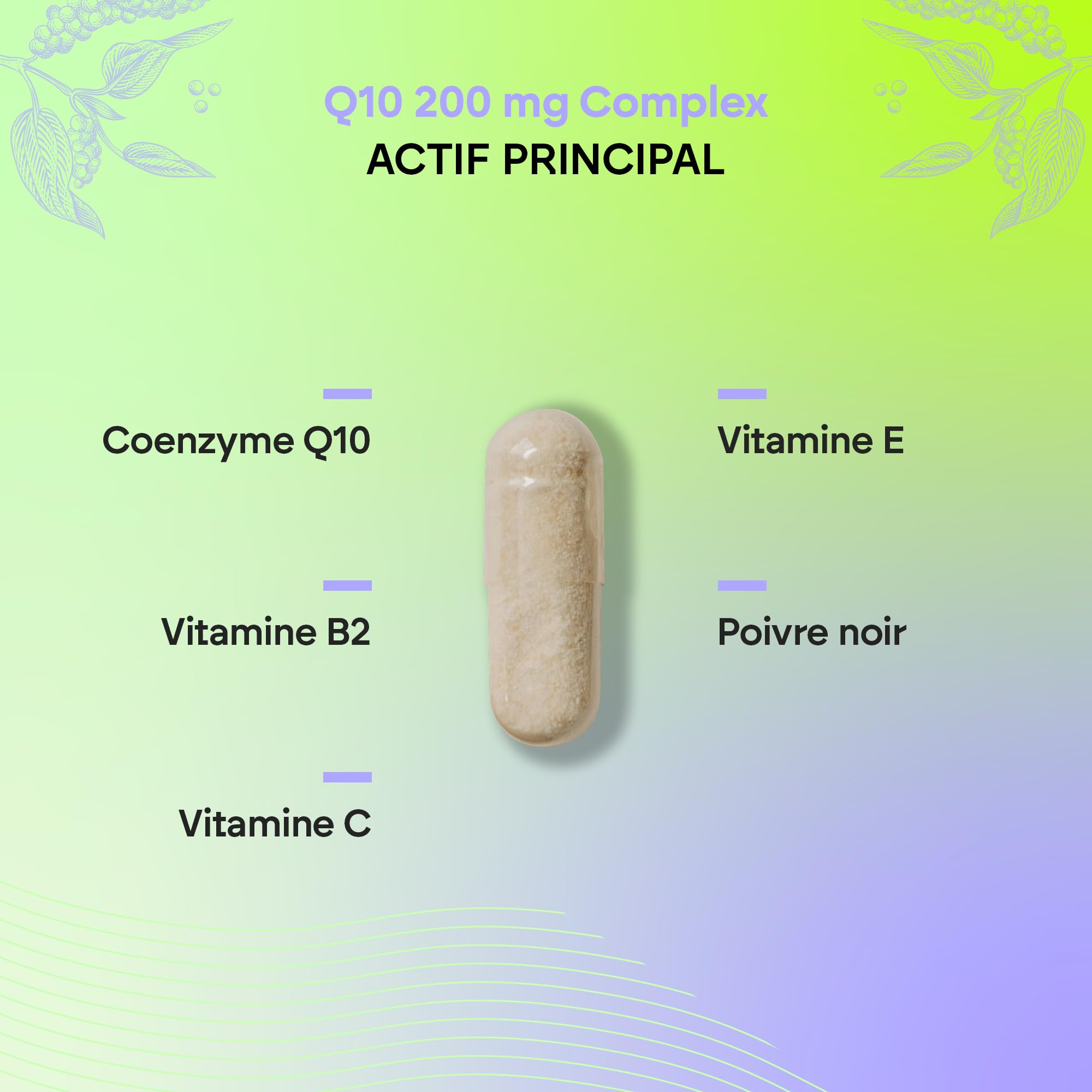 Coenzyme Q10 Complex 200mg - 120 Gélules Coq10 - Antioxydant avec Vitamine C, E et B2, Poivre Noir - Système Immunitaire - Ubiquinone Coenzyme Q10-120 Gélules Nutralie
