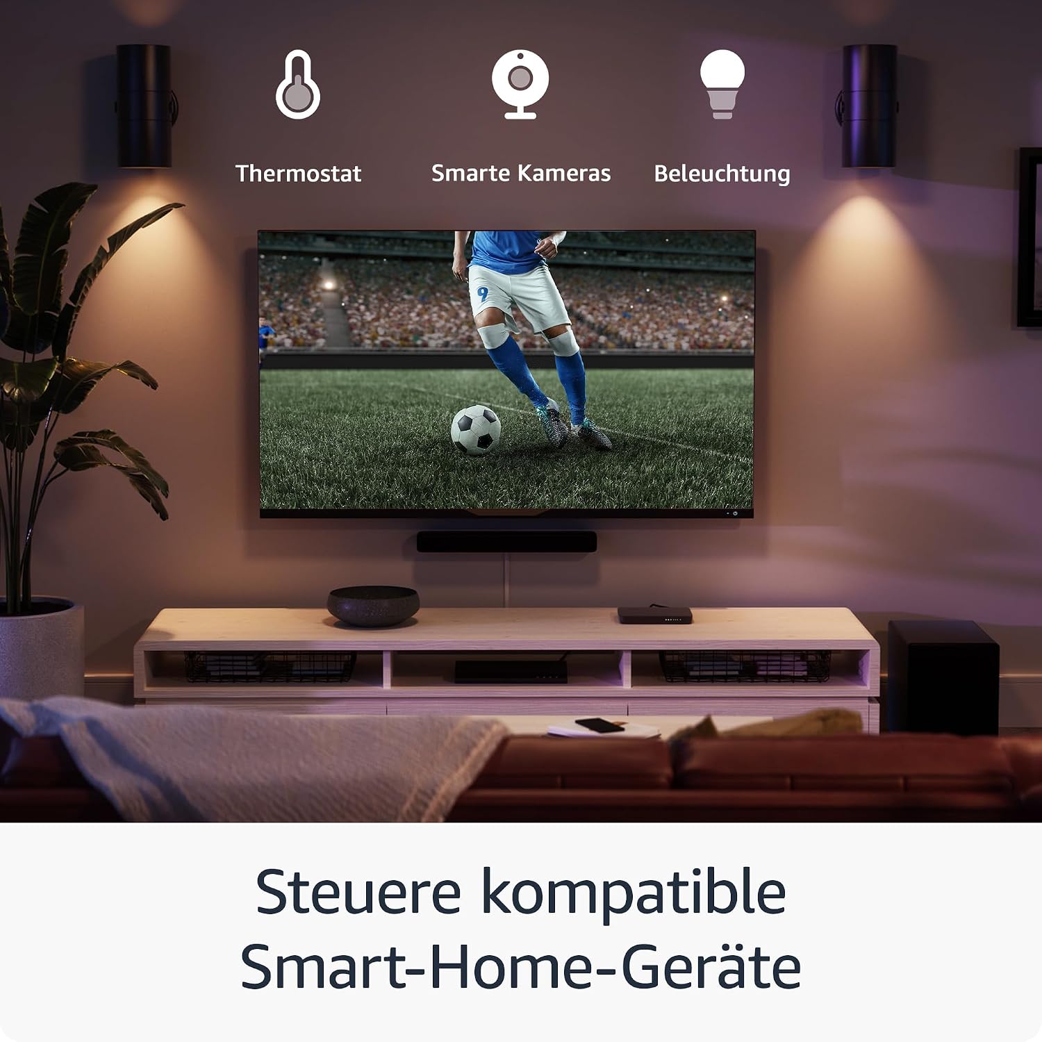 Vue 6