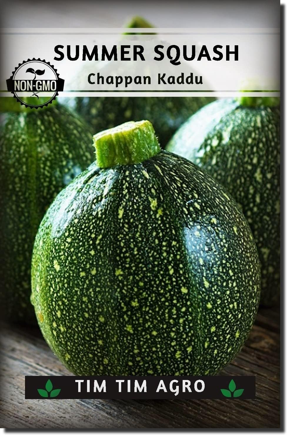 10gm Summer Sqaush Eight Ball Squash (Chappan Kaddu) Seed for Planting & Farming - F1 Hybrid Packet with Instructions to Plant a Home Vegetable Garden by Tim Tim Agro (B09S1BK45Z) Amazon Price History, Amazon Price Tracker