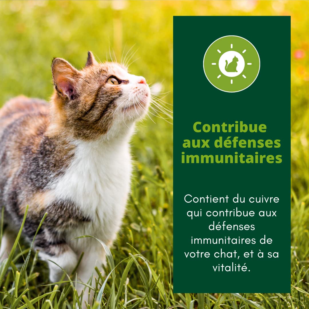 EQUILIBRE & INSTINCT - Chat Stérilisé - Sachet Nourriture Humide Boeuf - Maintien des défenses immunitaires - Recette Complète formulée avec des vétérinaires - 48x85g - Fabriqué en France