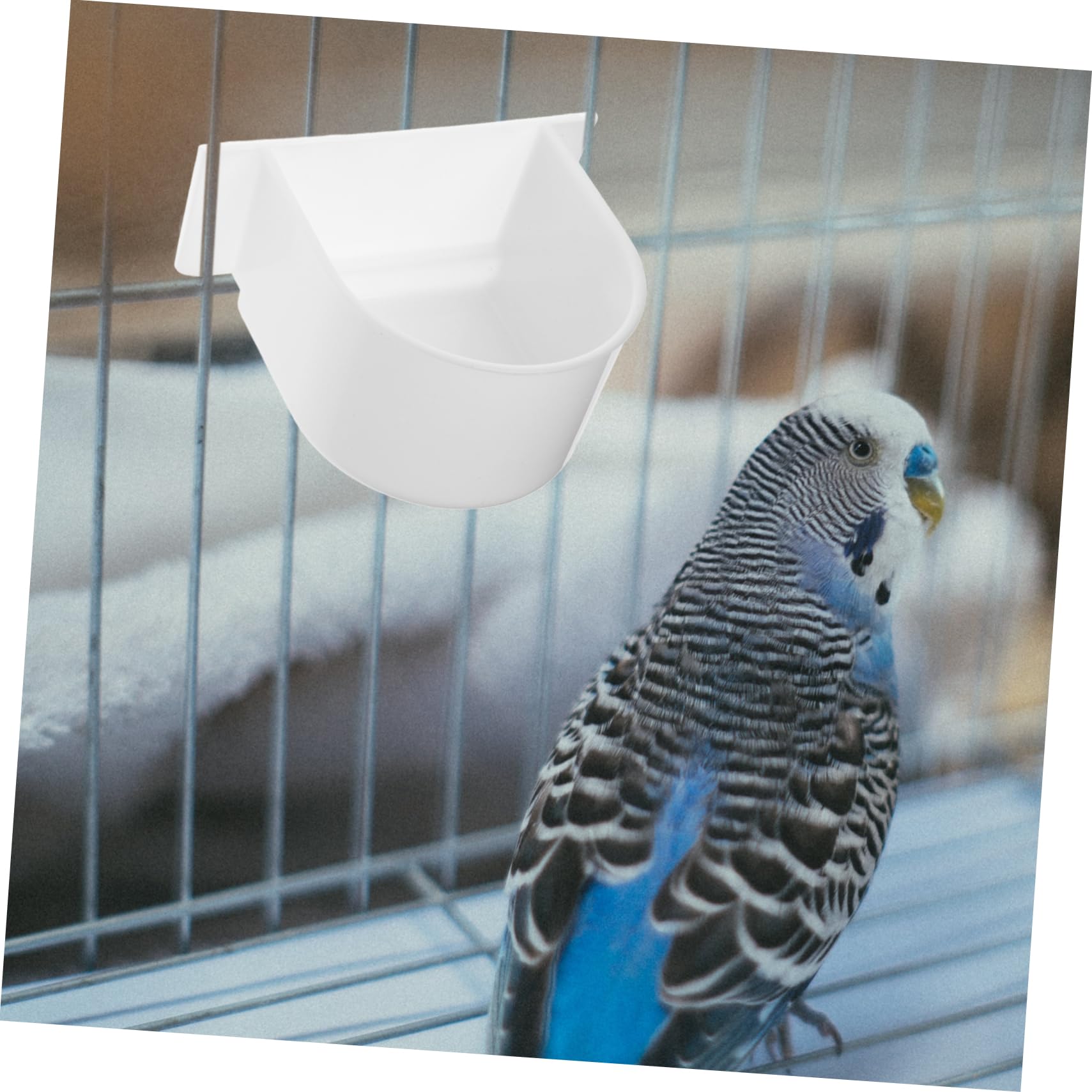 BESPORTBLE 20pezzi Mangiatoia per Resistente Contenitori per per Pappagalli e Piccole Facile Installare e Accessori per