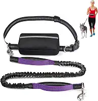 Coleira para cães com cinto ajustável, bolsa refletiva móvel e fixável para a cintura, bolsa grande com zíper, coleira elástica com duas alças para corrida, caminhada e trilha (Roxo)