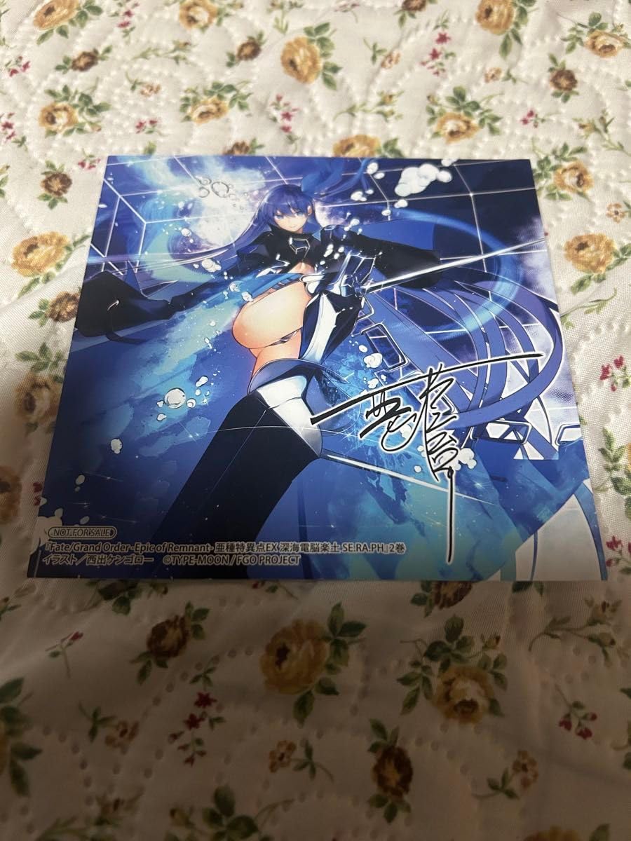 Amazon.co.jp: FGO 亜種特異点EX 深海電脳楽土 SE RA PH 特典
