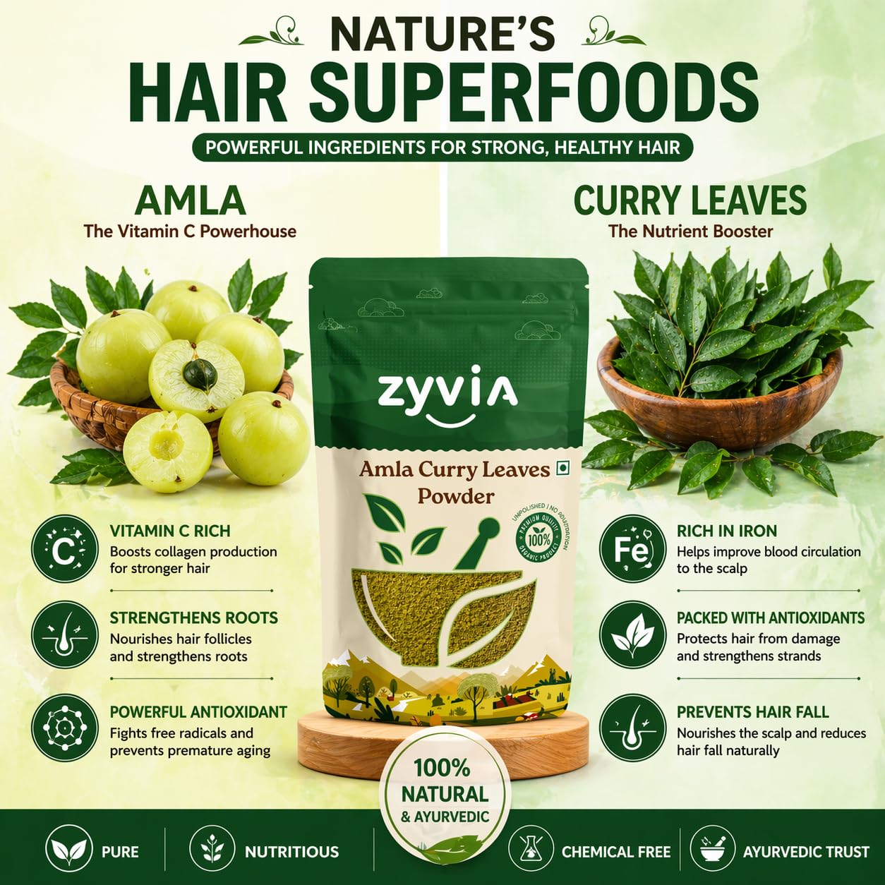 Natural Amla & Curry Leaf/leaves Powder | Plant-Based Superfood for Daily Nutrition & Hair Care | Organic, Vegan, Gluten-Free | No Preservatives | 200g Pack — Amazon image 3