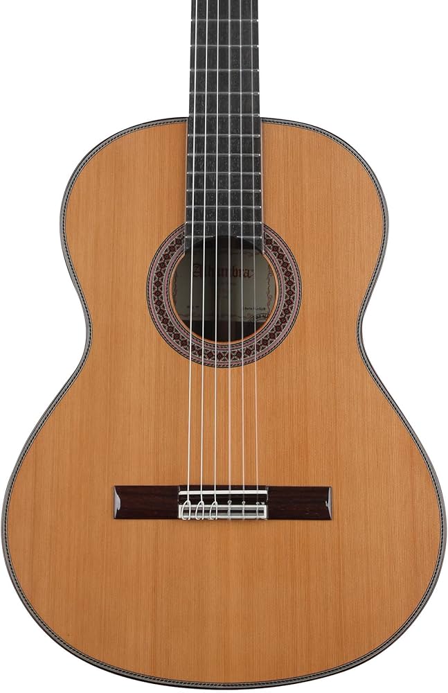 Amazon.com: Alhambra 7 P Classic Conservatory Acoustic Guitar
