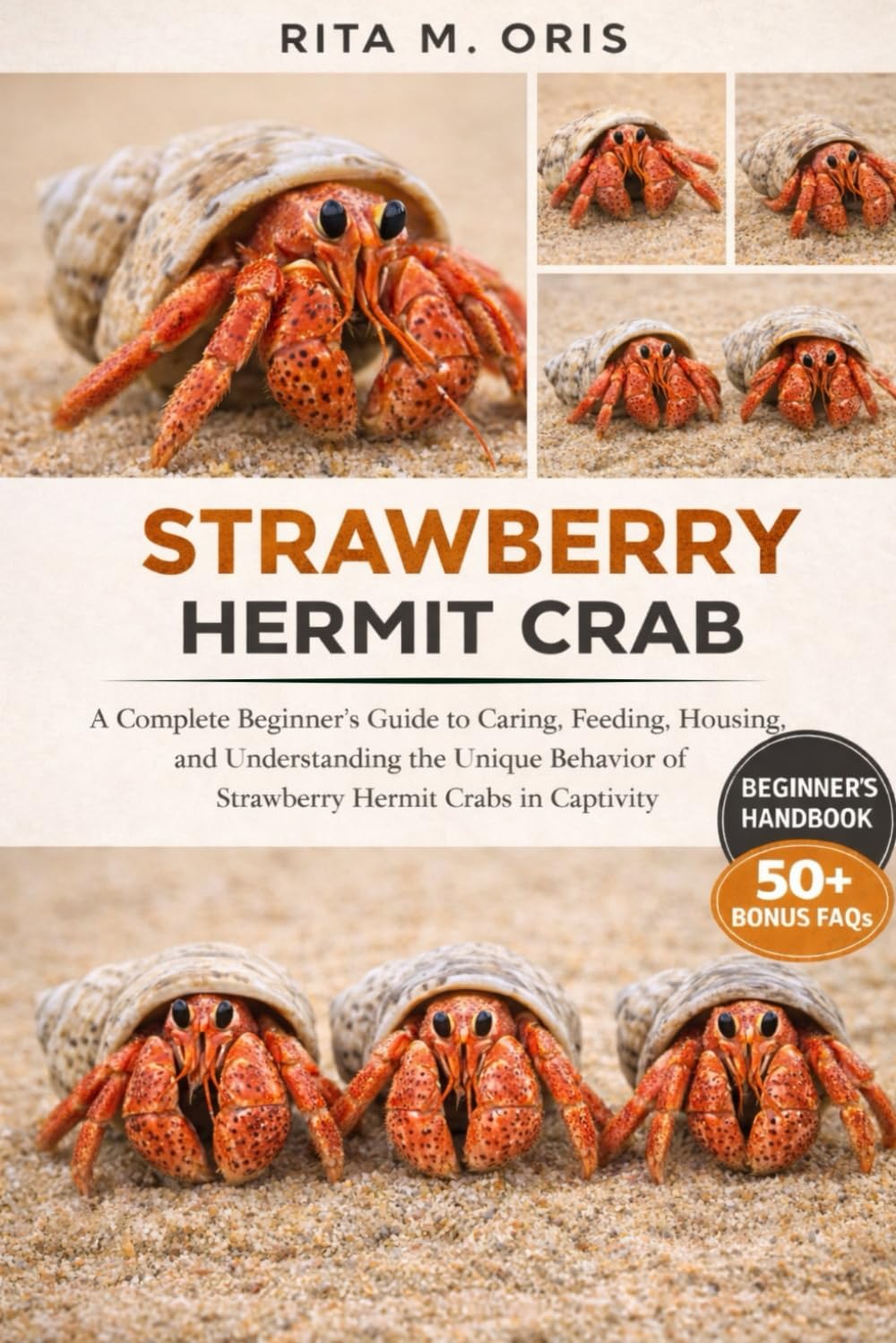 STRAWBERRY HERMIT CRAB AS PETS: A Complete Beginner’s Guide to Caring, Feeding, Housing, and Understanding the Unique Behavior of Strawberry Hermit Crabs in Captivity