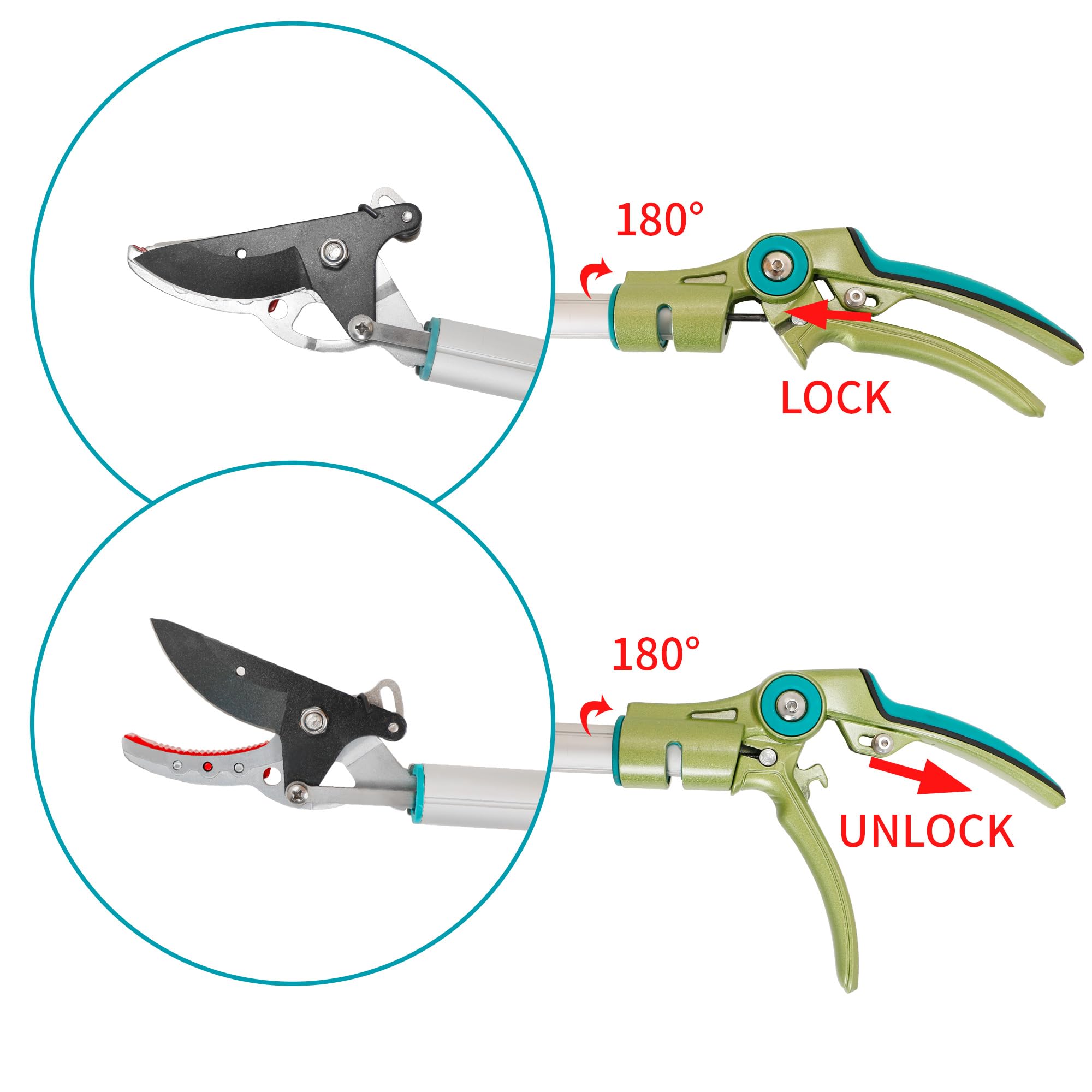 FLORA GUARD 80cm Tree Pruner, Tree loppers Long Reach - Lightweight & Strong, Ideal for Removing High Branches and Fruit Picking - Image 3