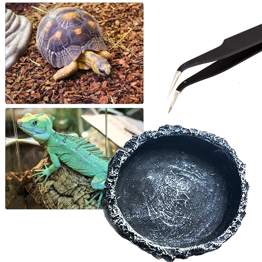 2 ciotole per cibo e acqua per rettili, con pinzette, pinze per rettili, ciotola per acqua, leopardo, geco, lucertola, rana (stile 1)