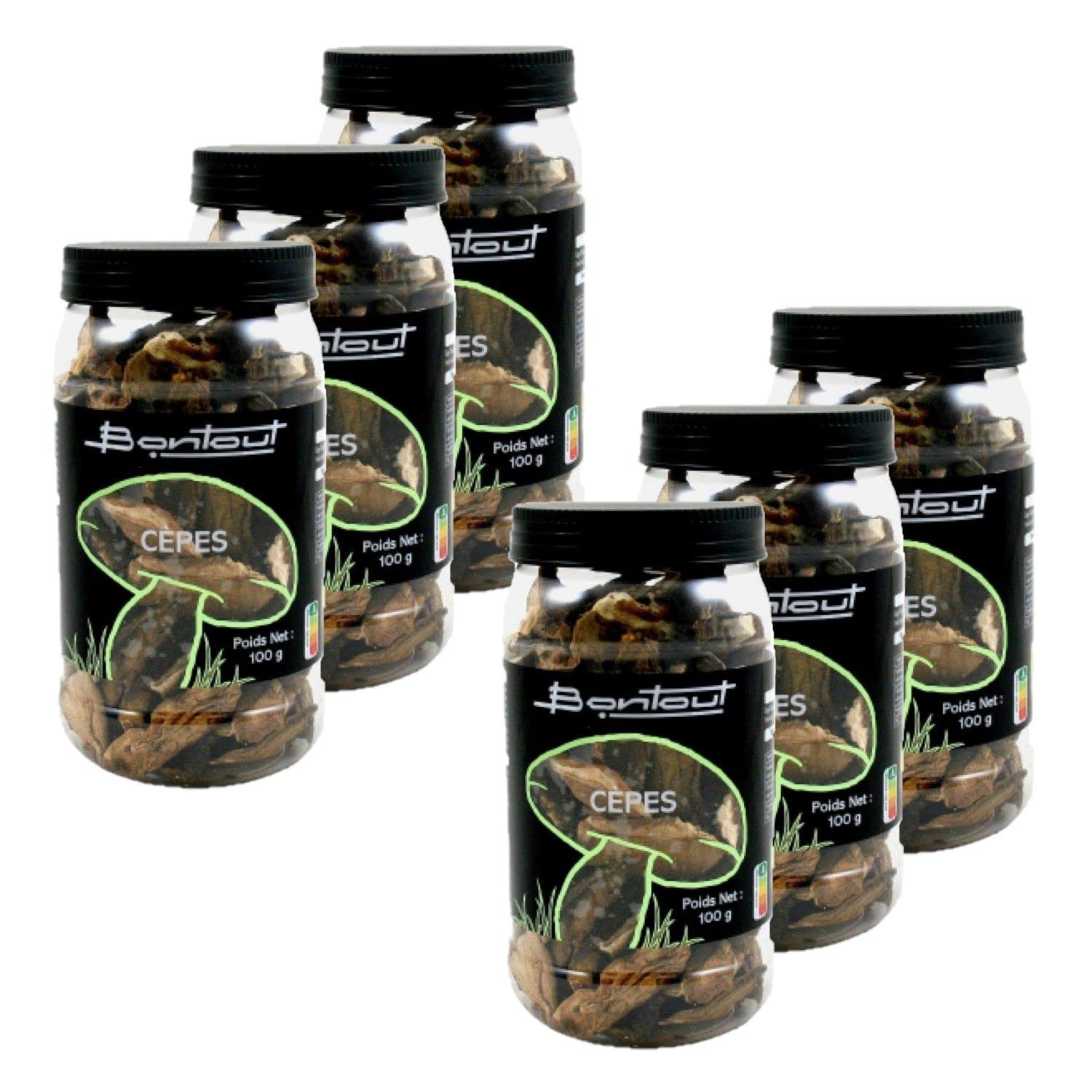 Lote de 6 cepas clase – maceta de 100 g