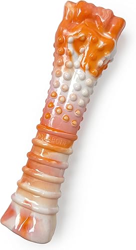 Miniatura 17 de Nylabone Juguete masticable original y texturizado para perros, juguetes duraderos y resistentes para masticadores agresivos, sabor a tocino y