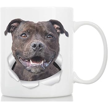 igloo for large dogs