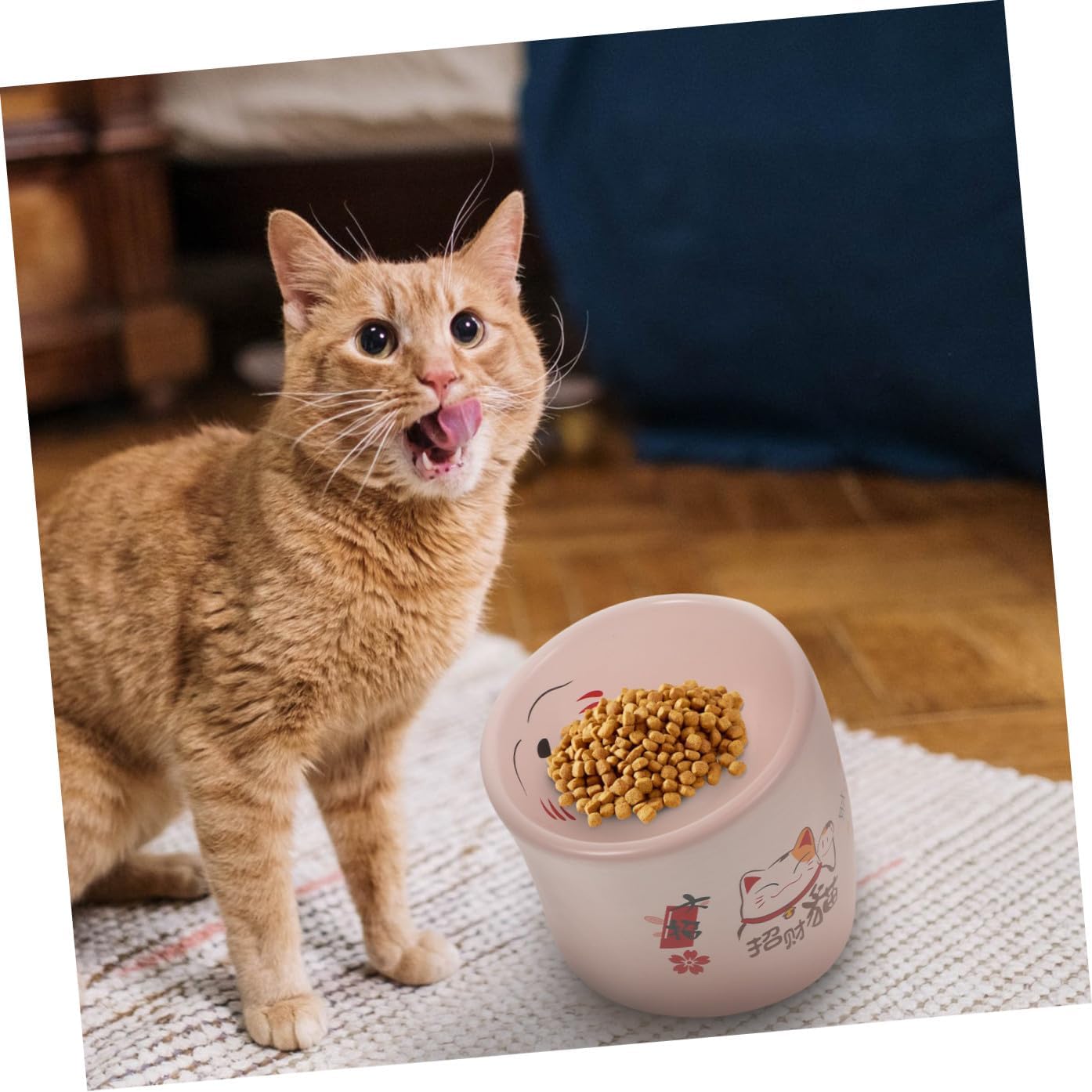 TOYANDONA Ceramic Elevated Cat Bowl Anti-Spill Pet Feeding Bowl with Neck Protection Pink Raised Kitten Feeder for Indoor Cats