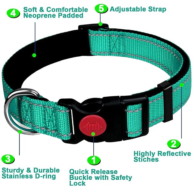 Foto 2 de 7 de Dog Collar, Reflective Adjustable Basic Dog Collar with Soft Neoprene Padding