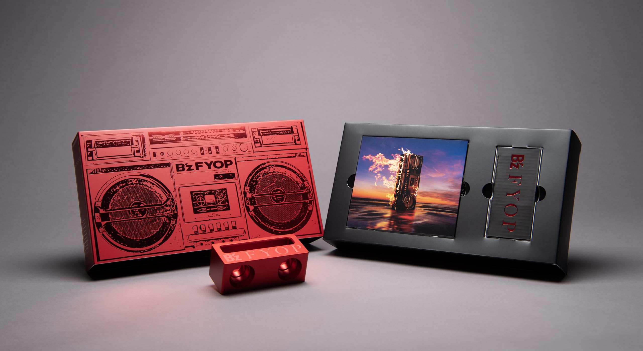 B'z お皿 ペアセット FYOP ネックストラップ付き 2025年最新】B