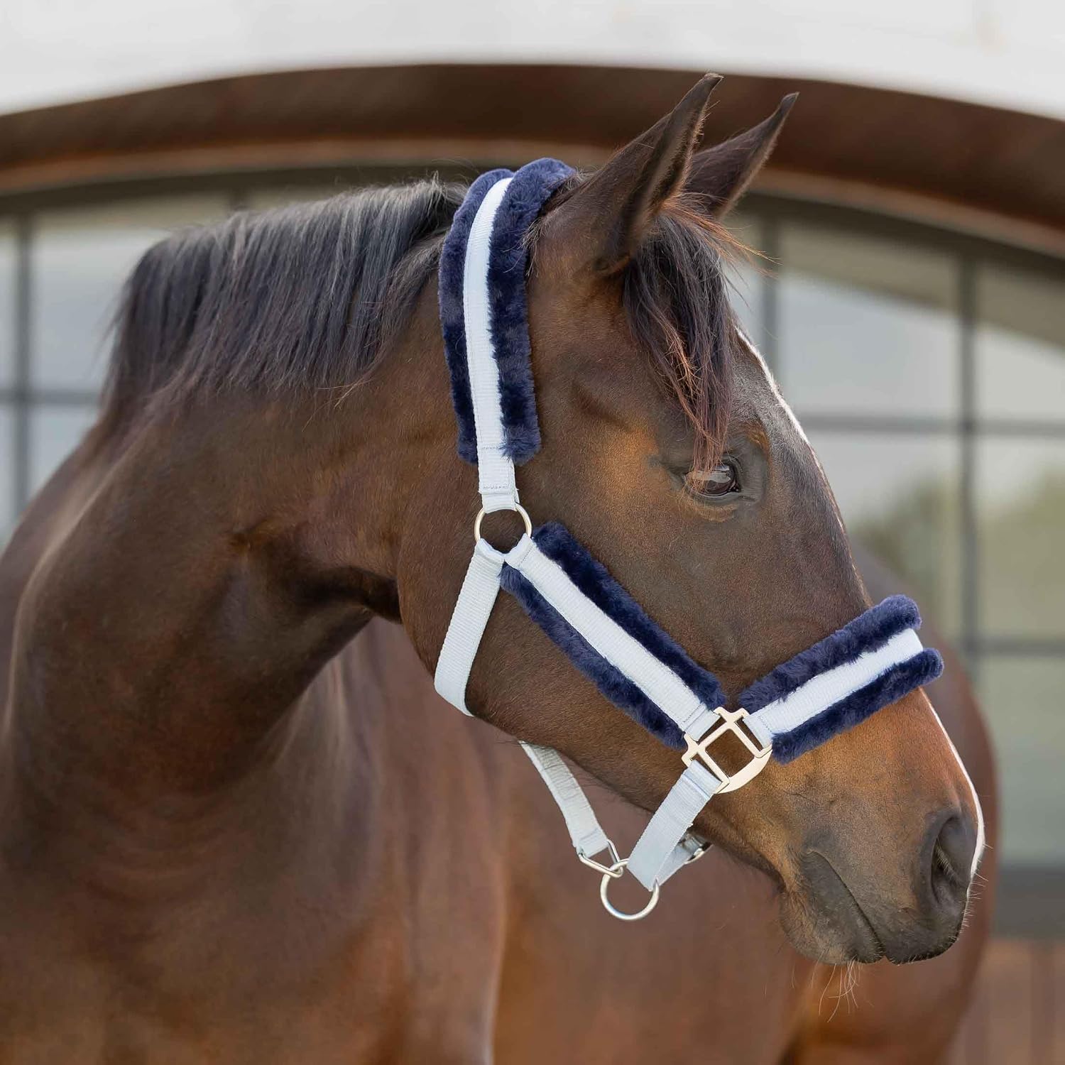 Equinavia Valkyrie Ultra Fleece Breakaway Horse Halter | Padded Fleece Adjustable Safety Halter with Nylon Webbing - Sweet Blue/Navy - Horse