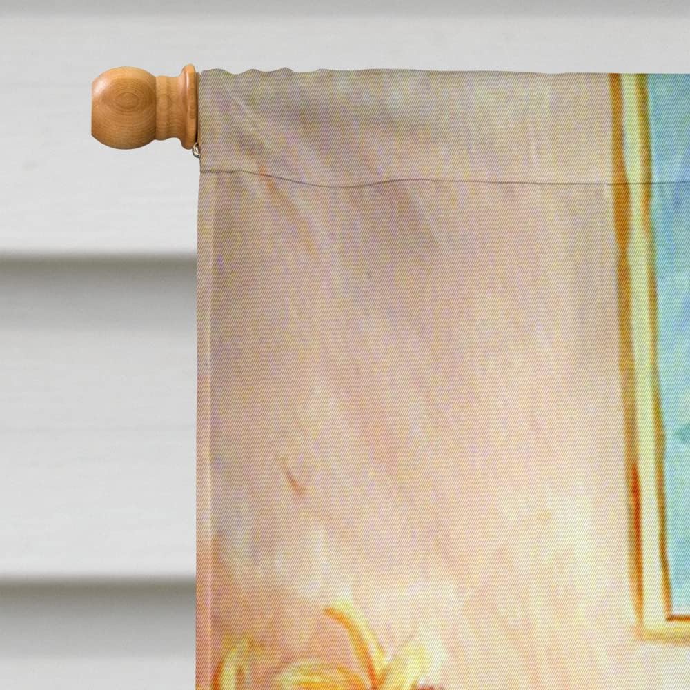 Caroline's Treasures 7081CHF Whippet Waiting on you House Flag Large Porch Sleeve Pole Decorative Outside Yard Banner Artwork Wall Hanging, Polyester, House Size, Multicolor
