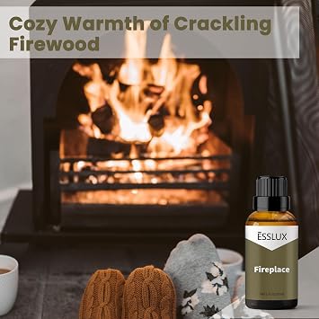 Forest Pine, Roasted Hazelnut, Fireplace Fragrance Oil for Home for Diffuser, 3x30 ml