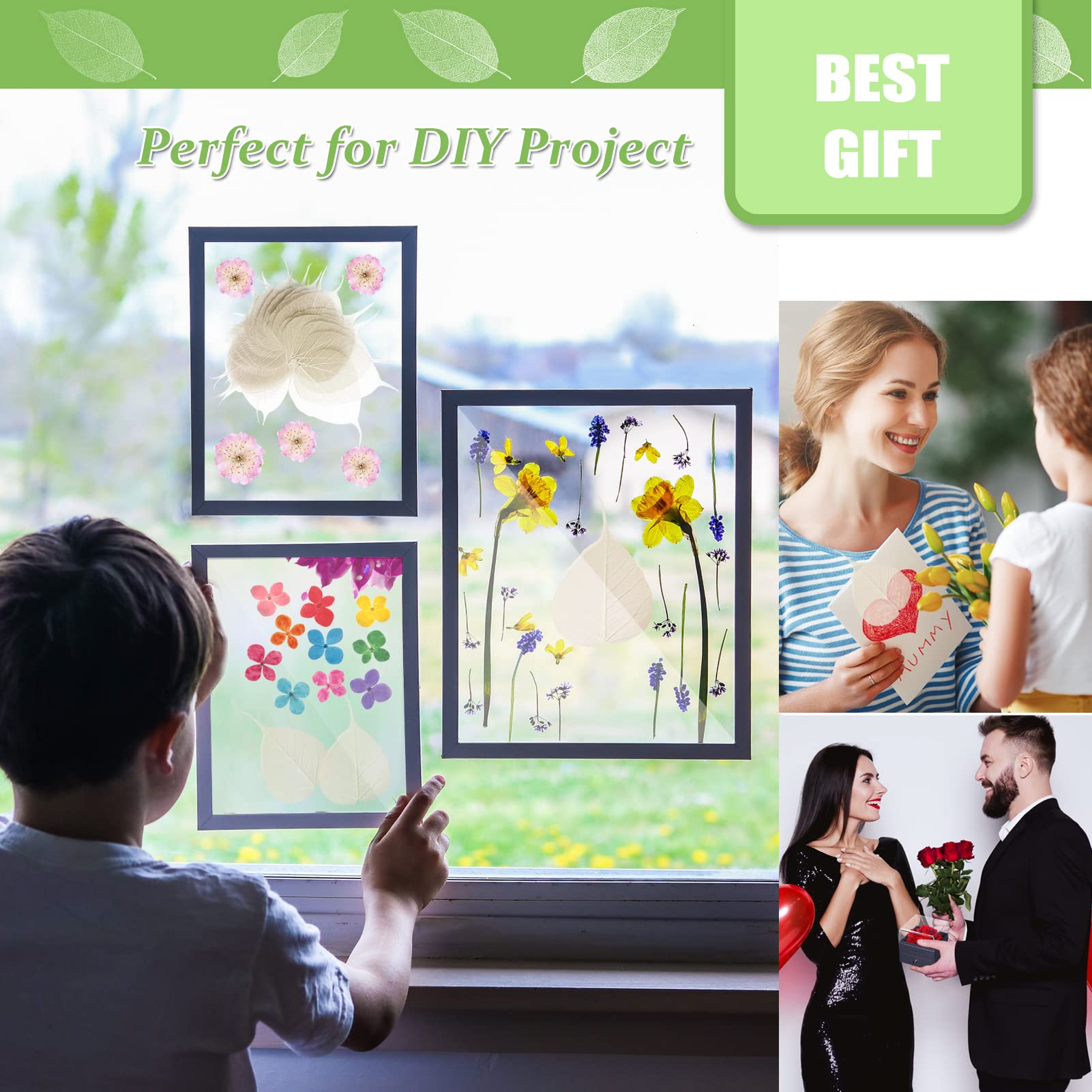 Getrocknete gepresste Skelettblätter für Harz, 42 Stück, weiß, natürlich, echt, trocken, BodhiSkelett-Blattadern für Harzkunst, DIY, Basteln, Karten, Scrapbooking, Handyhülle, Hochzeitsdekoration