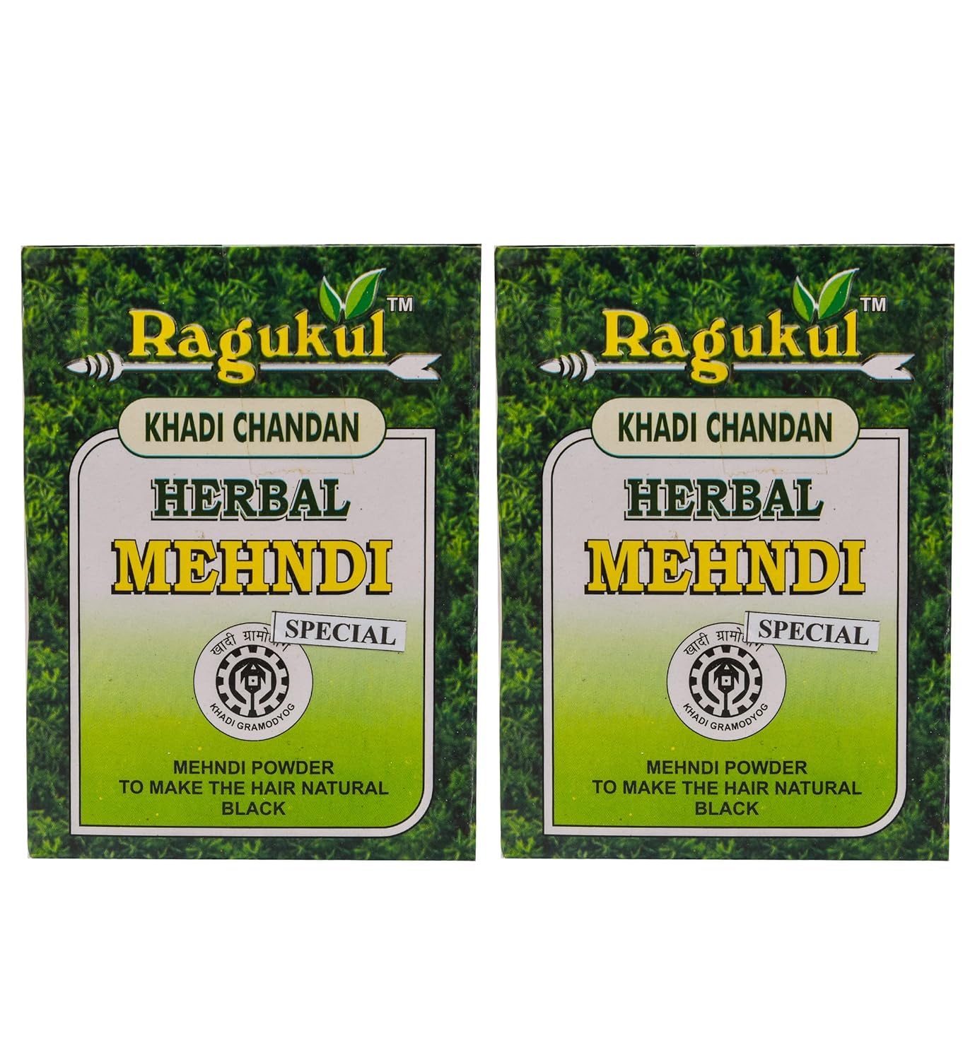 Ragukul Khadi Chandan Black Herbal Mehandi Powder For Hair - Pack Of 2 pic-image-14