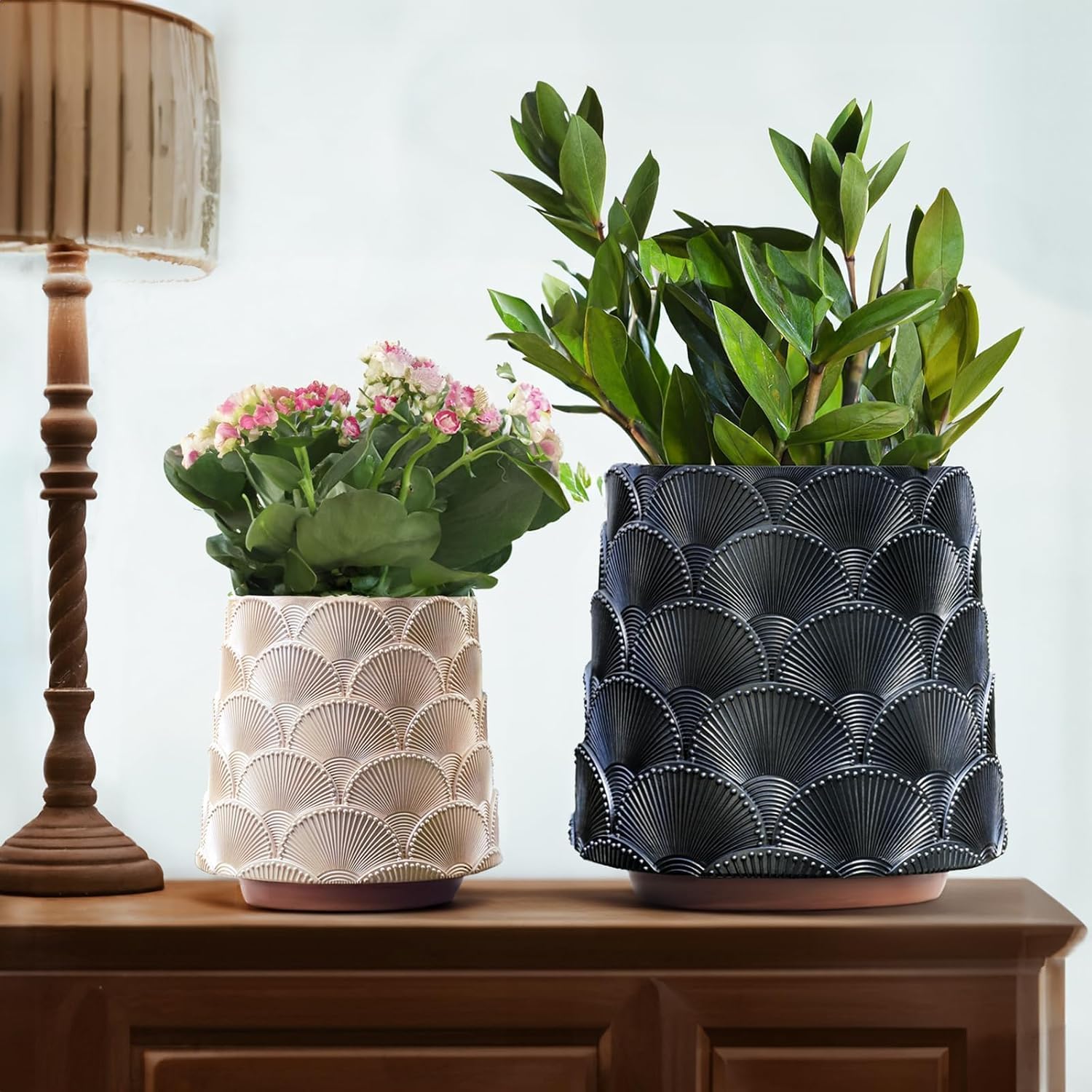 Pearl Schwarz Skala Blumentopf, Bunt Pflanzentopf mit Drainage, Eklektische Niedlichen Kleinen Übertöpfe für Zimmerpflanzen, Regenbogen Lustige Sukkulenten Gartenarbeit Topf Geschenke