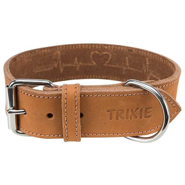 TRIXIE Collar de Cuero Engrasado para Perros