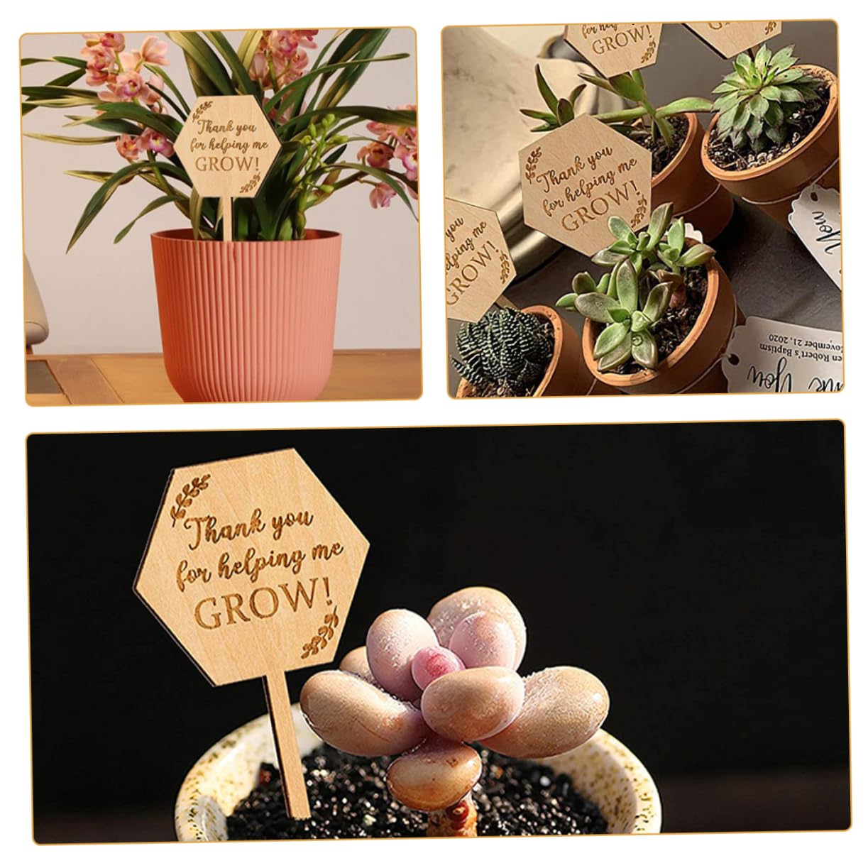 Toddmomy 100pezzi Etichette Per Marcatori Per Giardinaggio Per Bonsai Classificare e Identificare e