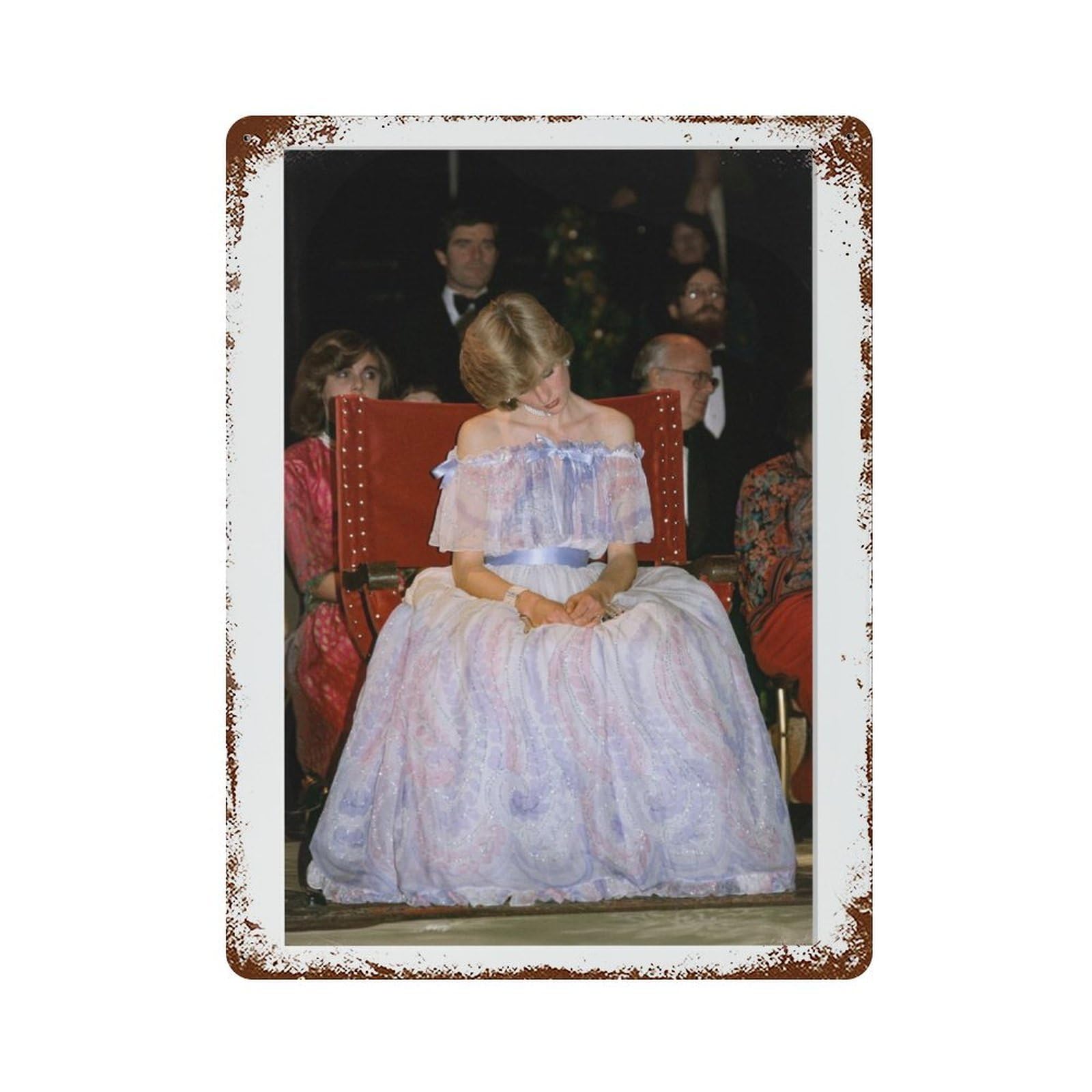 xiaoxiaoshen Princess Diana, Photography S2 Wall Decor Art Metal Tin Poster Modern Home Decor Art Home Bar Shop Decorations Vintage Sign 40x30cm