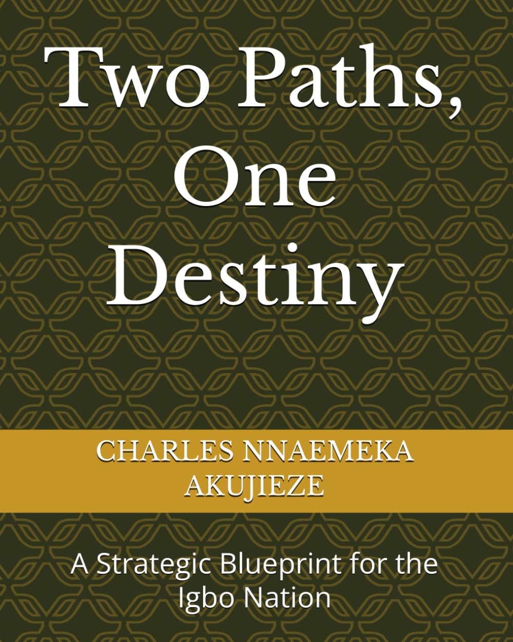 Two Paths, One Destiny: A Strategic Blueprint for the Igbo Nation