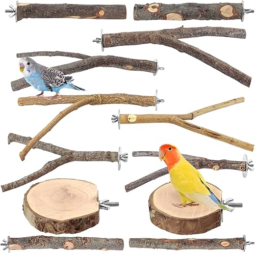 Miniatura 25 de 8 perchas para pájaros de madera natural para jaulas, soporte y plataforma para loros, accesorios para jaulas de pájaros para periquitos, cacatúas