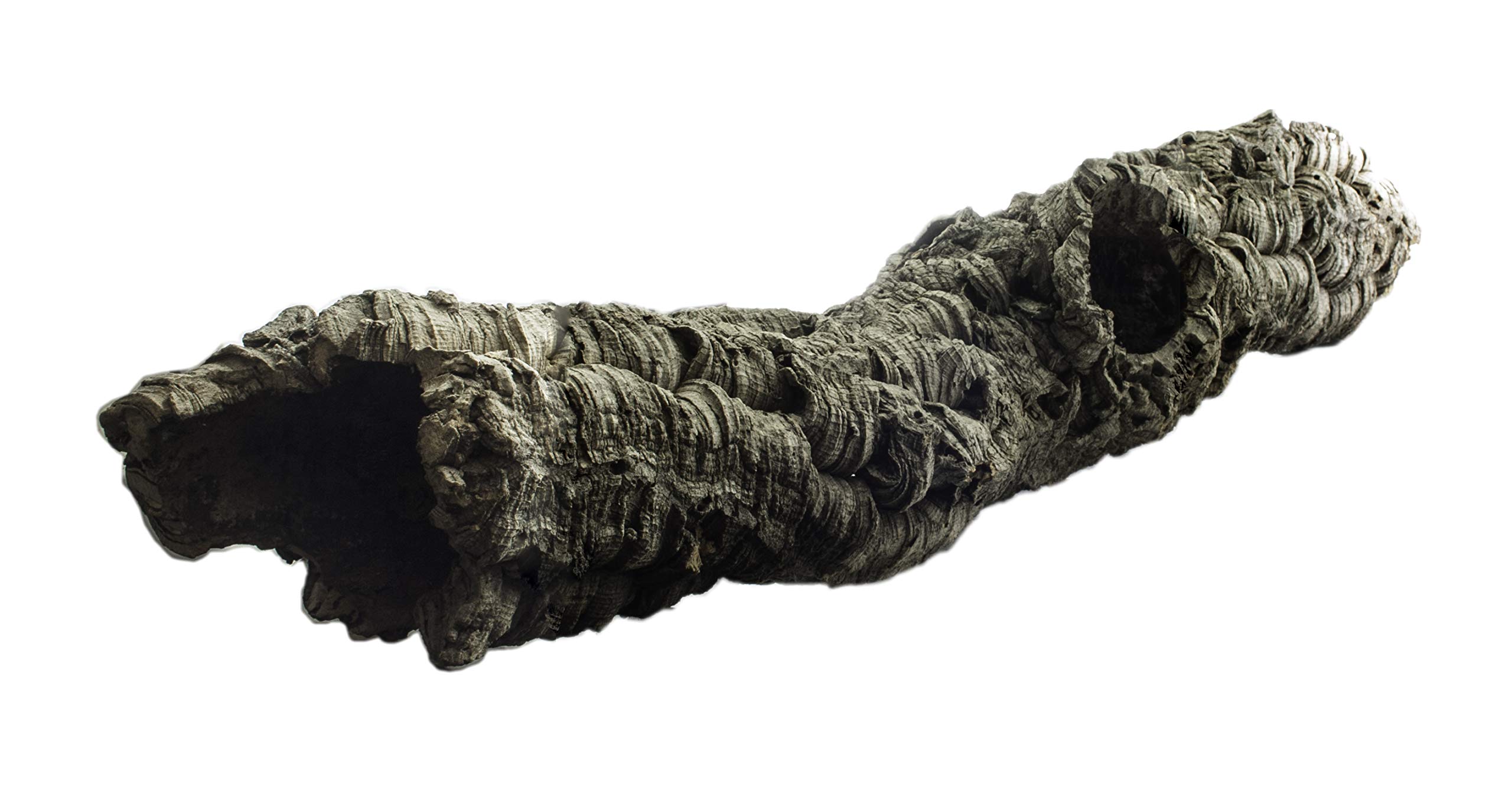 Dragon Naturkorkröhren zur Terrarien-Dekoration (Ø15-20cm - ca. 40-70cm Länge)