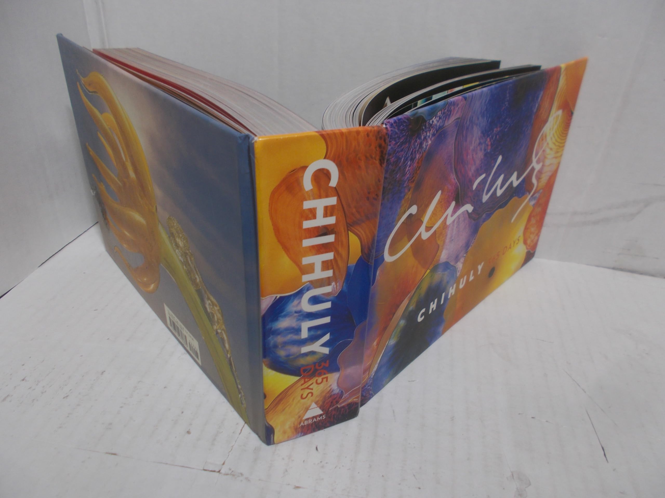 Chihuly: 365 Days Hardcover – May 1, 2008