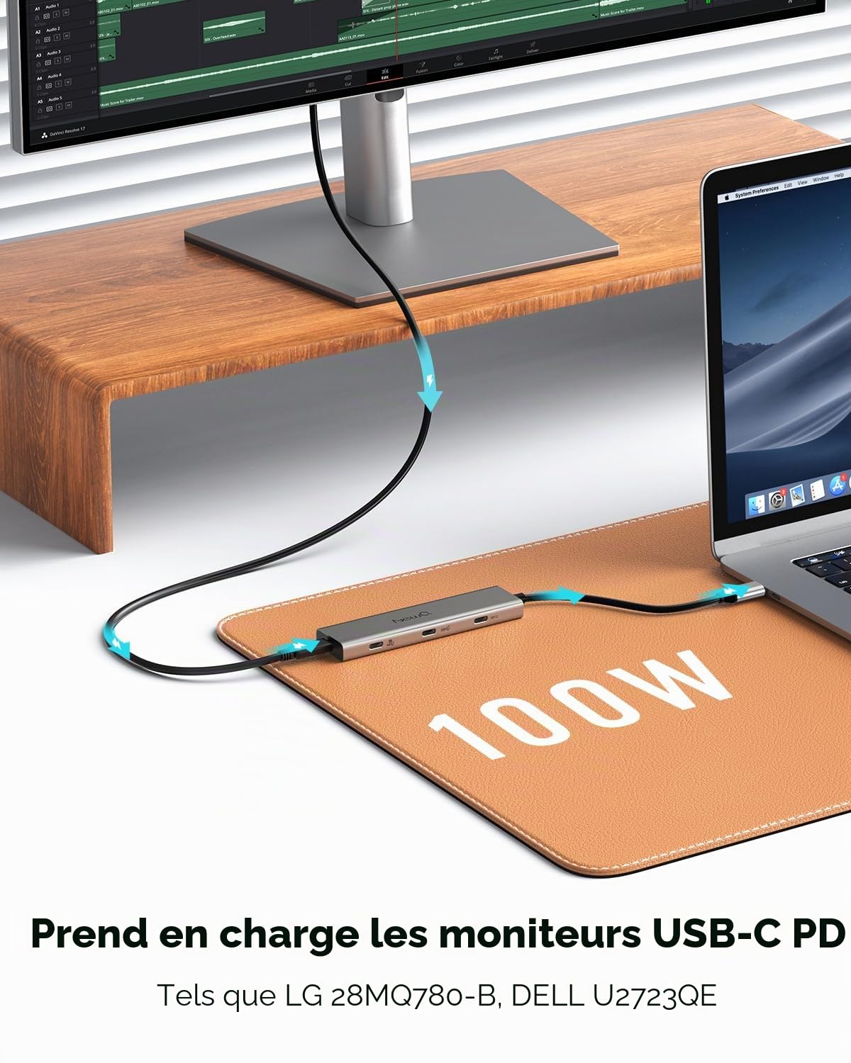 Hub vidéo USB-C NEWQ Type C Hub 3.2 avec Surveillance du Courant Inverse, Double Affichage vidéo 4K à 30-60 Hz, 4 Ports USB-C 3.2 GEN2 10 Gbit/s, Prise en Charge PD 100 W Max, avec câble vidéo