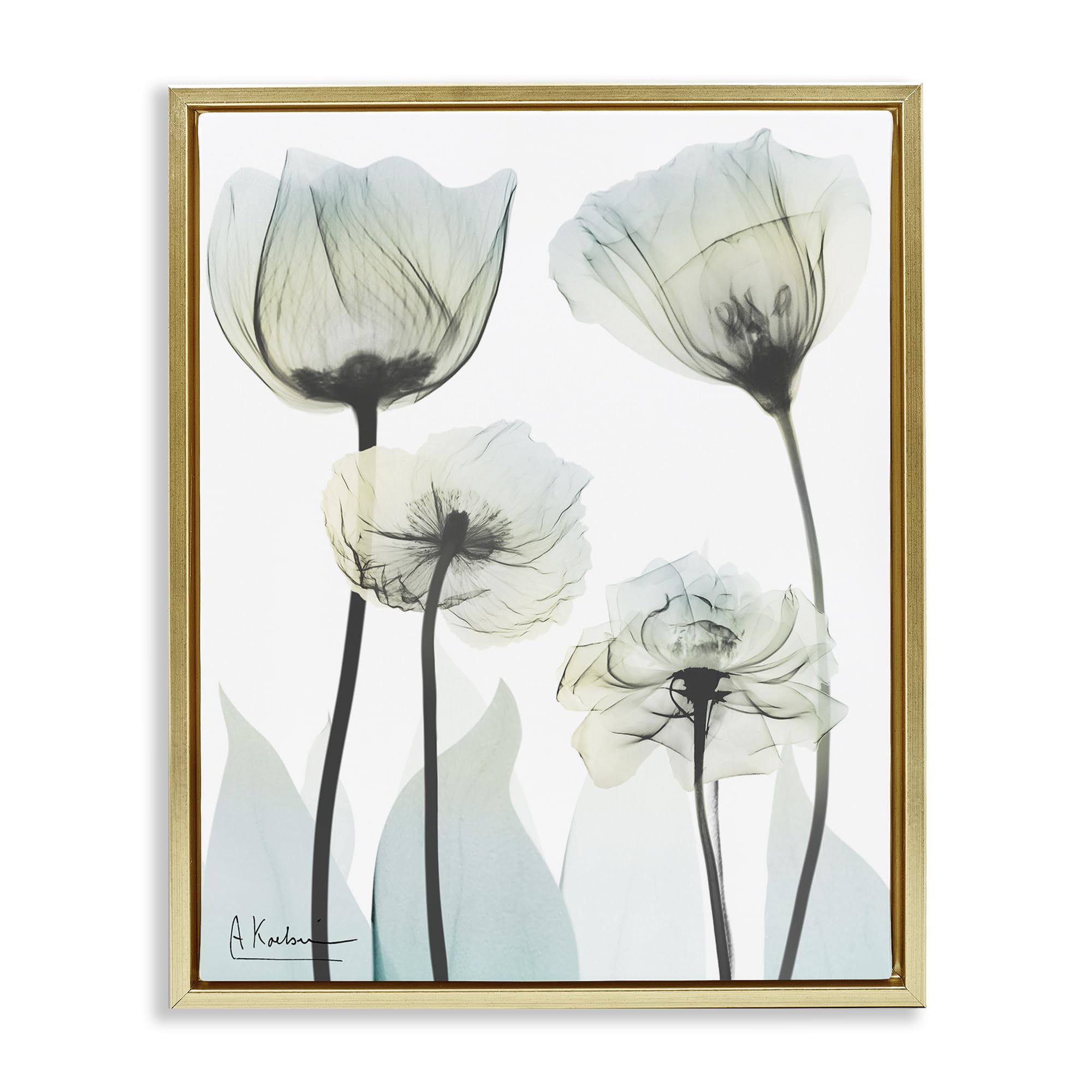 Stupell Industries 'Floral Luxury Of Creation', Floating Frame Canvas Art, Gold, 17 x 21 Inches, Easy to Hang and Sturdy, Made in USA, by Albert Koetsier