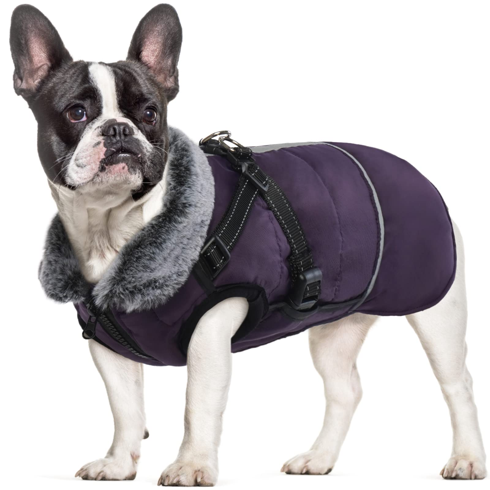 BRKURLEG Purple Dog Coat with Harness Detachable,Small Medium Large Dog Winter Clothes with Furry Collar,Pet Warm Snow Suit Jacket with Reflective,Waterproof Cold Weather Doggy Fleece Cozy Vest Hiking