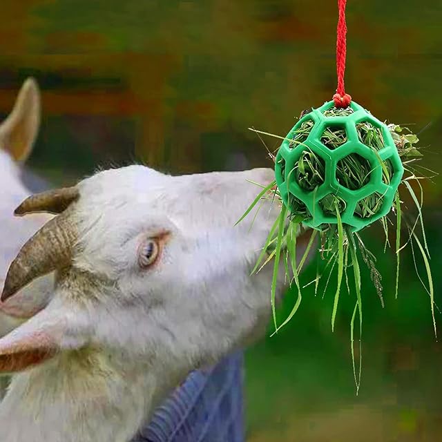 Foto 3 de 7 de Bola de Alimentación de Caballos,Forreen 3 Piezas Pelota de Juguete para Caballos Multifuncional Reutilizado…