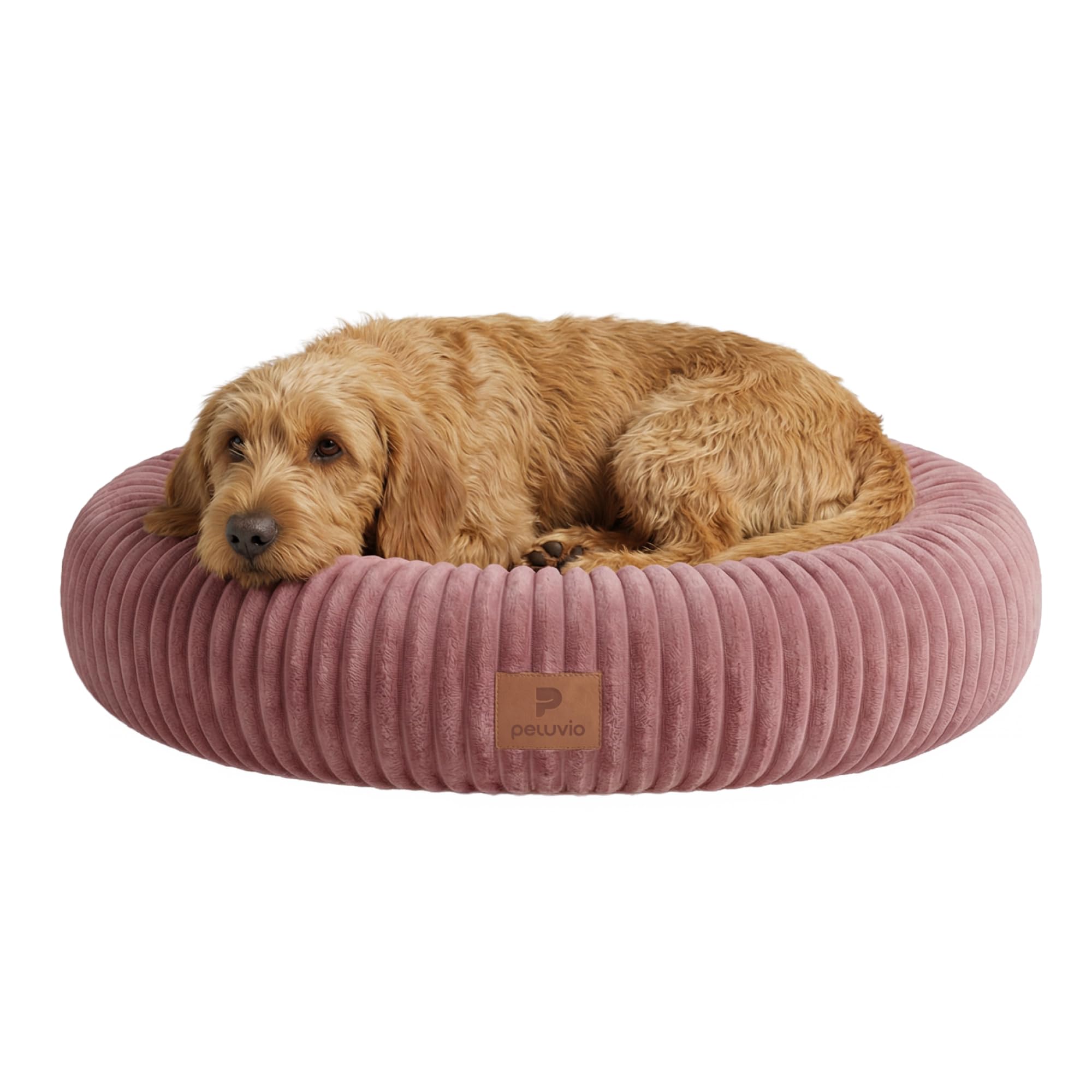 Panier pour chien Koya déhoussable pour un salon propre et chic