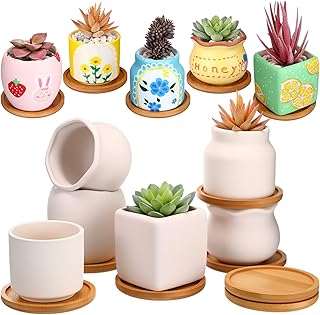Maxdot 12 Sets 3 Inch DIY Ceramic Succulent Planters Pots to Paint Unpainted Ceramic Paintable Flowerpots Paint Your Own Flower Pot Pottery Painting Craft Kit for Gardening Draw Gifts