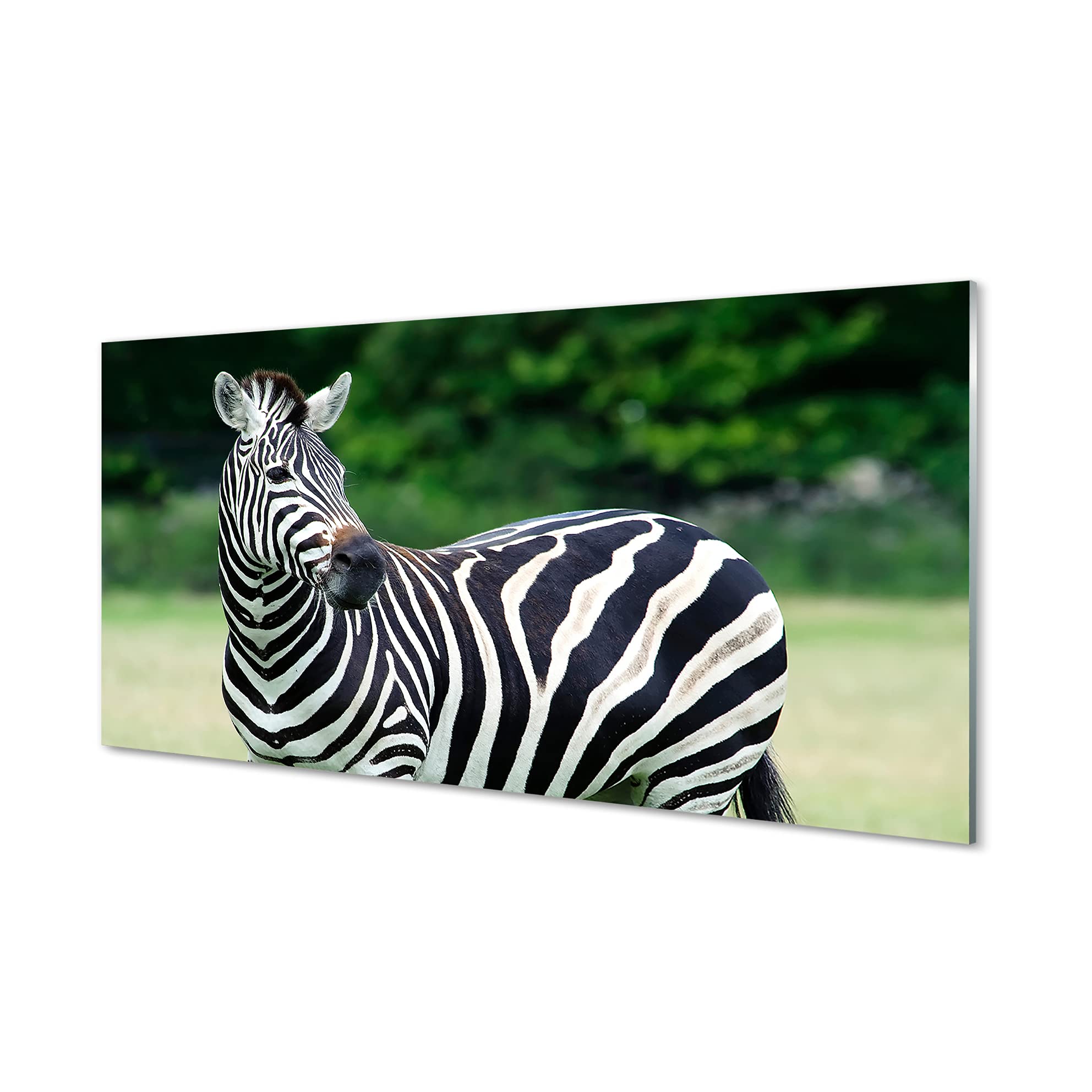 Crédence adhésive 100x50cm Tulup en verre trempé pour masquer et protéger un mur abîmé