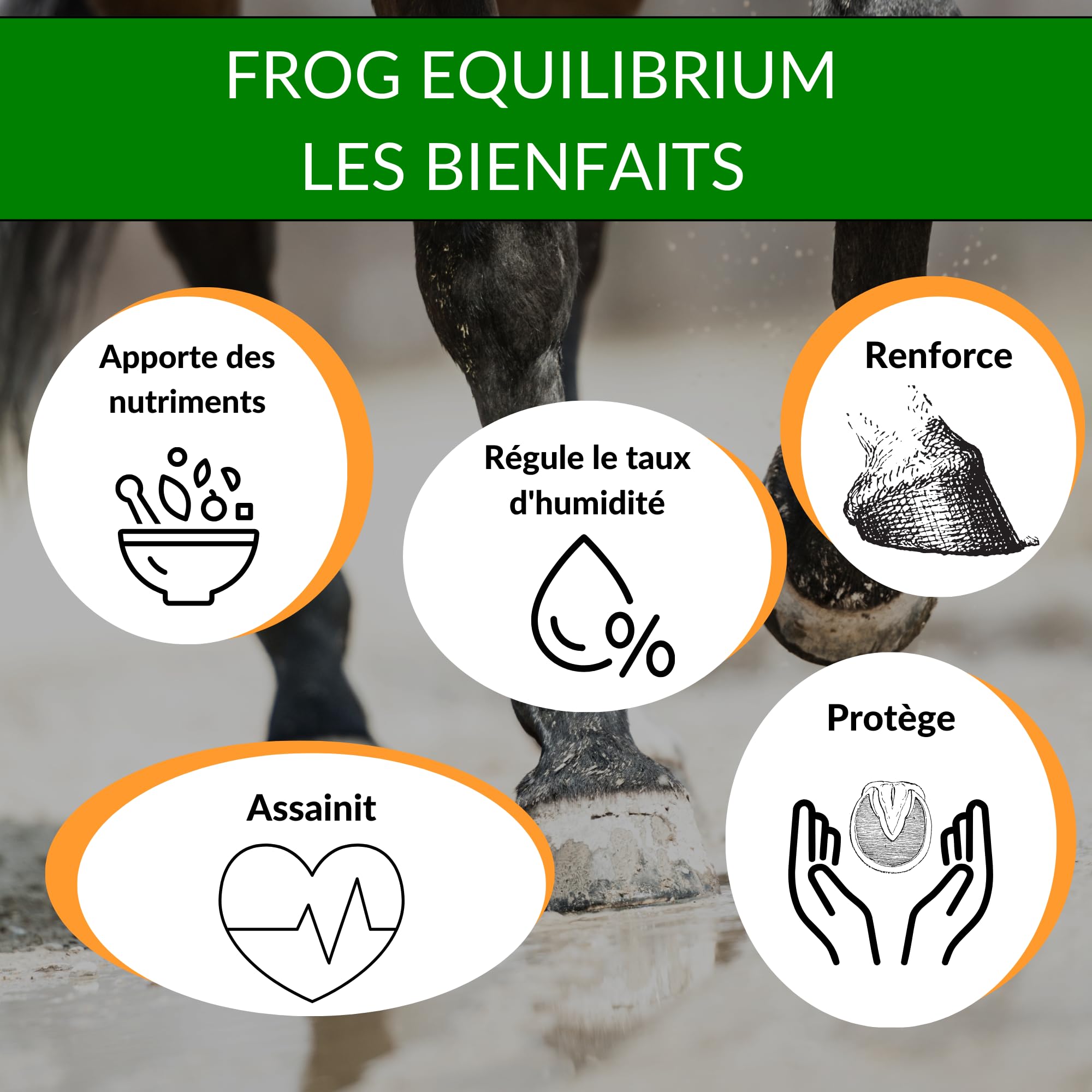 Frog Equilibrium - Soin, Graisse Onguent Naturel pour Sabots pour Cheval (Sabot cassant, infecté, bleime, seime...) - Aux Plantes, Olive, Laurier, Tea-treee, Origan - Toute Saison (250mL)