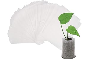 Augshy Nursery Growing Solutions for a Thriving Green Space