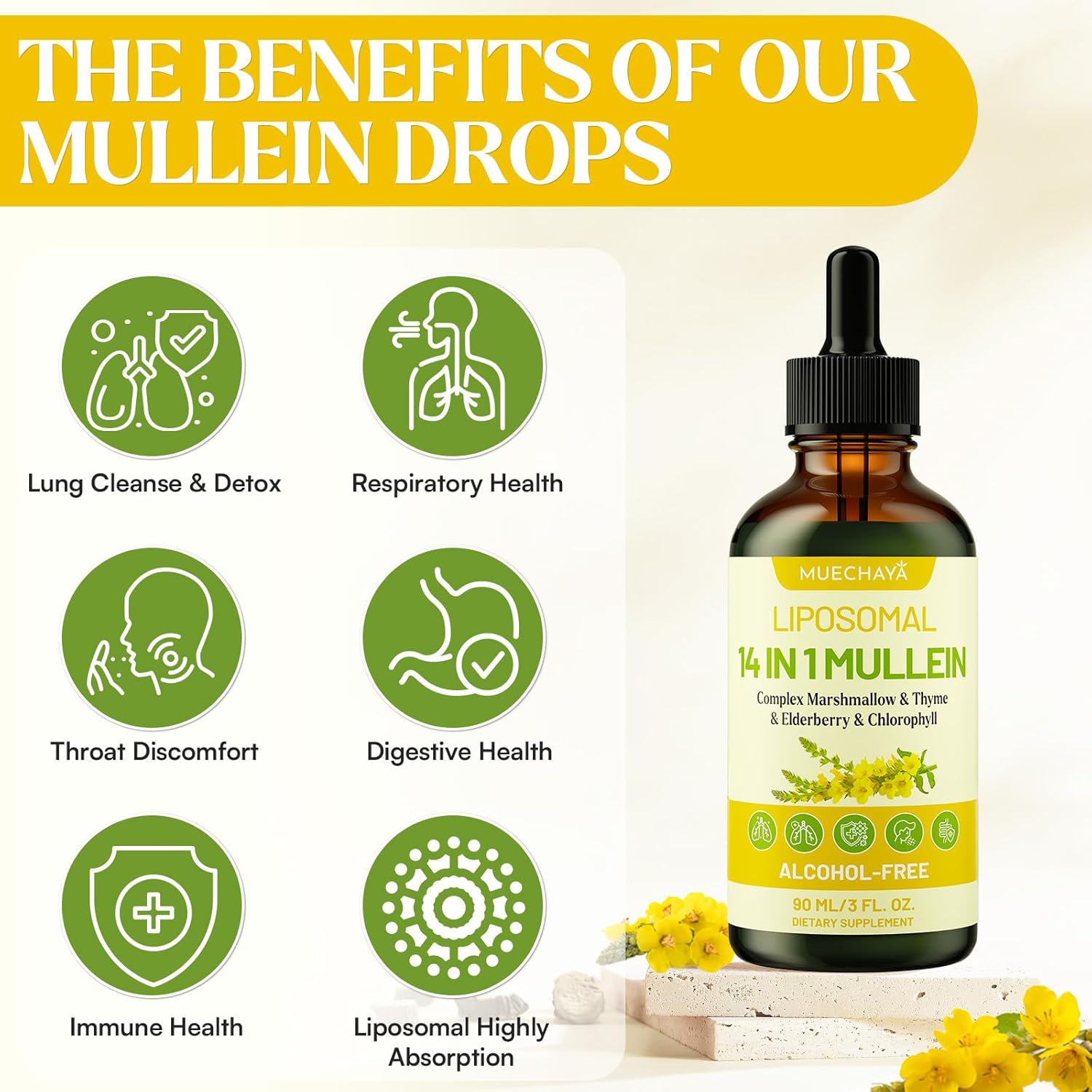 Mullein Drops For Lungs, Liposomal 14 In 1 Mullein Leaf Extract For Lungs, Mullein Drops with Elderberry, Chlorophyll, Thyme - for Lung Cleanse, Detox, Respiratory, Immune Health, 3 Fl 0Z, Mint Flavor - Image 4