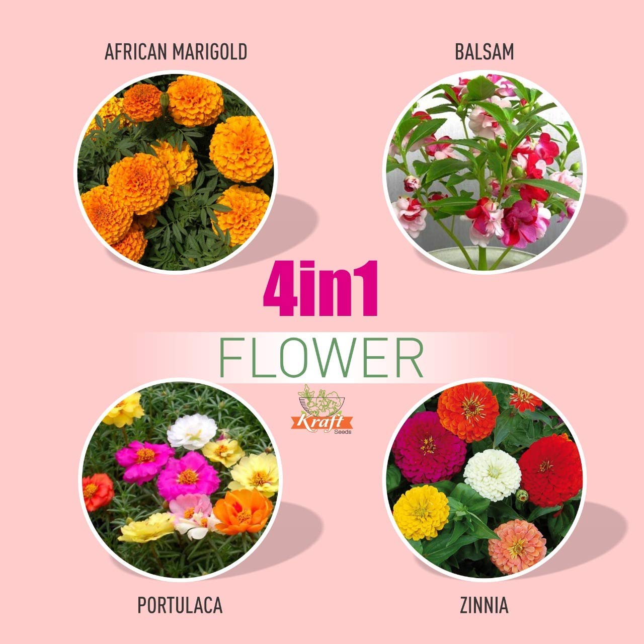 Kraft Seeds by 10CLUB Mix Flower Seeds (4 Packets , 800 Seeds each) Natural Flowering Plant Seeds for Home Gardening | All Season Flower Seeds for Indoor and Outdoor (B0824ZJX45) Amazon Price History, Amazon Price Tracker