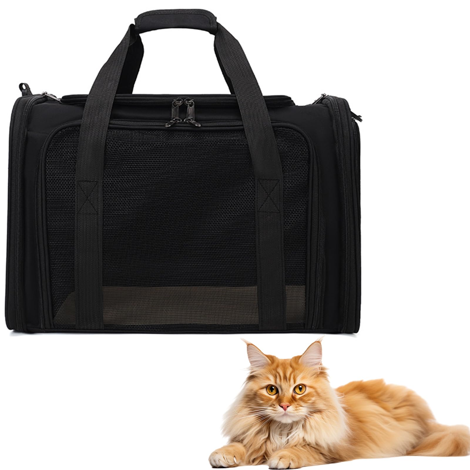 Collapsible Cat Carrier, Soft-Sided Pet Travel Carrier with Multi-Entry & Padded Shoulder Strap, 45x30x30cm for Cats/Small Dogs/Pets up to 14.5 lbs (Black)