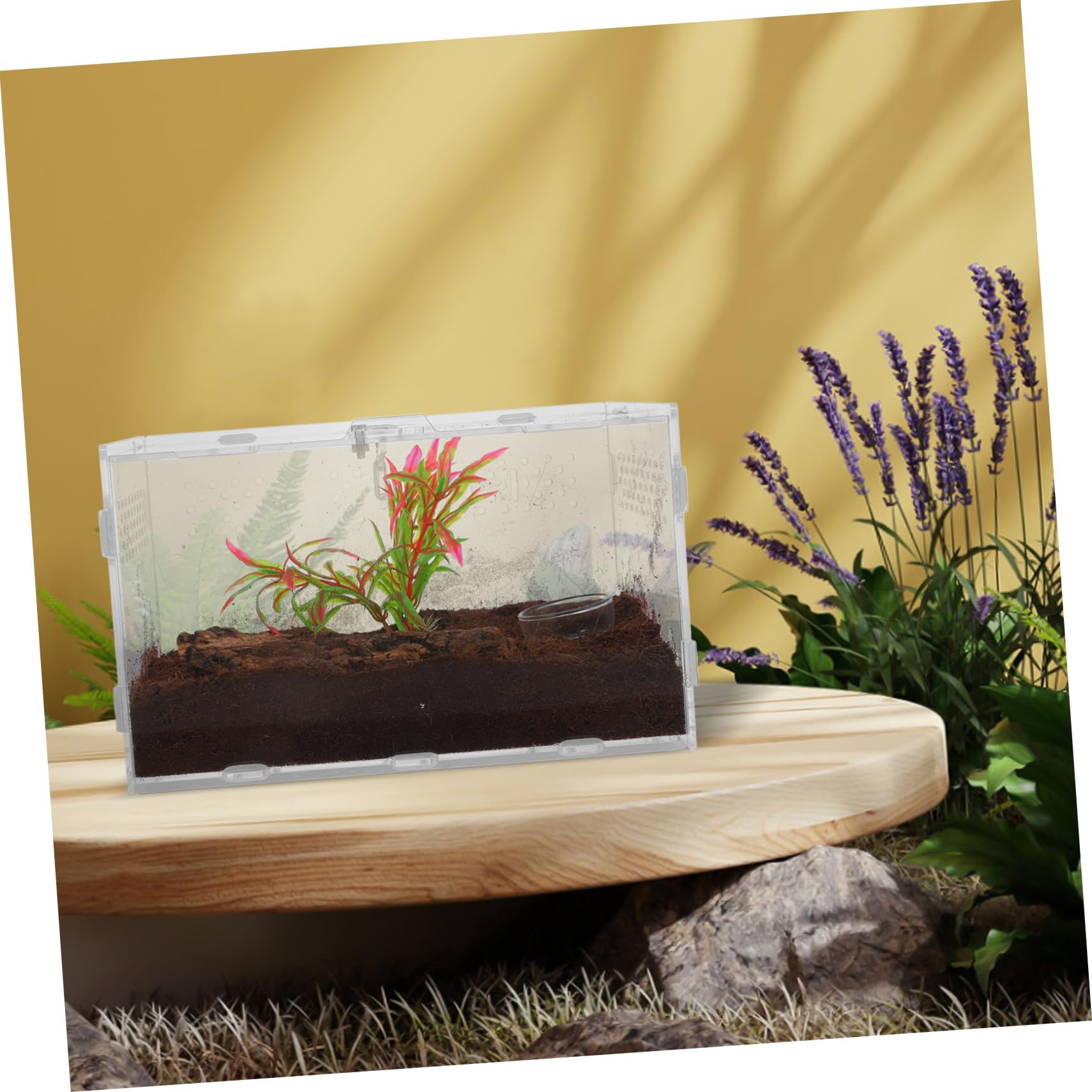 SOIMISS Reptilien Terrarium Transparente Aufzuchtbox für Frösche und Kleine Reptilien Belüftete Terrarienbox mit Teiligem Zubehör