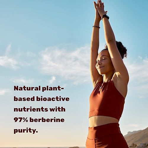 Miniatura 4 de DEAL SUPPLEMENT Berberine Max Suplemento con cúrcuma, 5,000 mg por porción, 240 cápsulas vegetales  97% HCL de berberina pura  Extracto de raíz 251