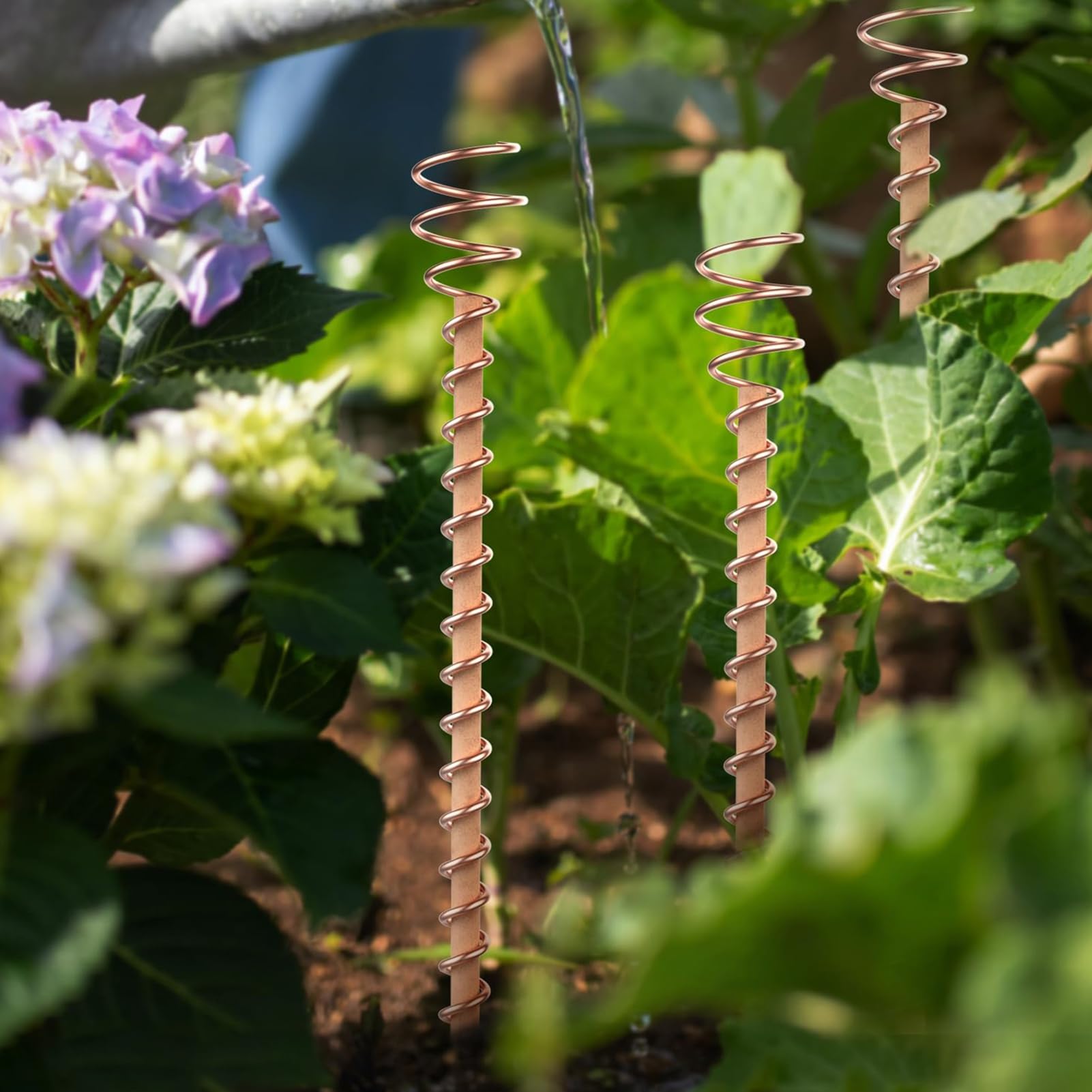 Fil De Cuivre Électroculture 20m 16 Gauge - Cuivre Pur Jardin, Stimule Croissance Plantes & Légumes Bio
